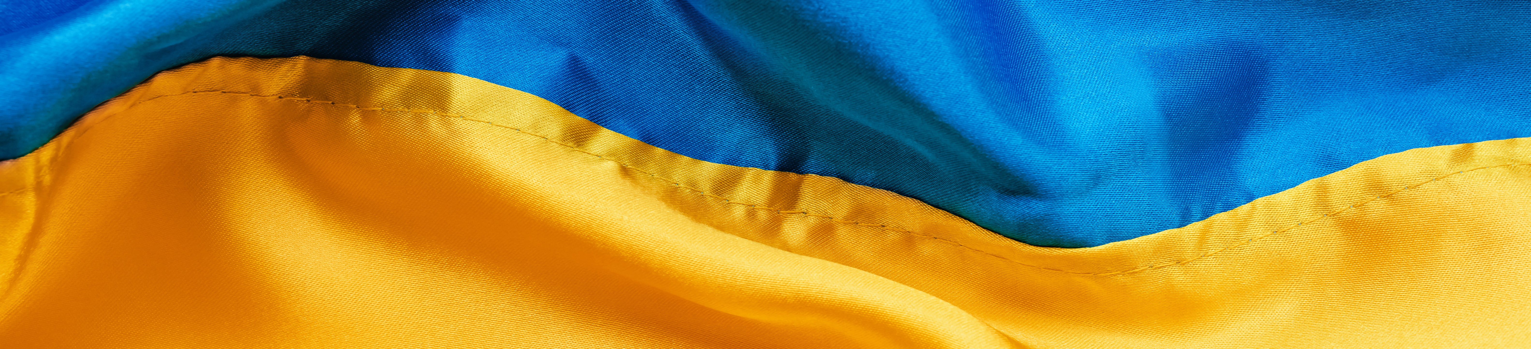 Die Ukrainische Flagge